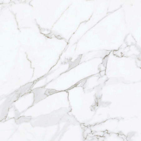 BOLONIA BLANCO thumbnail 11